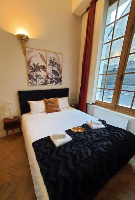 Apartamento T2 Calme Vieux Tours Basilique Exterior foto